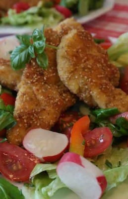 chicken-breast-748776rr