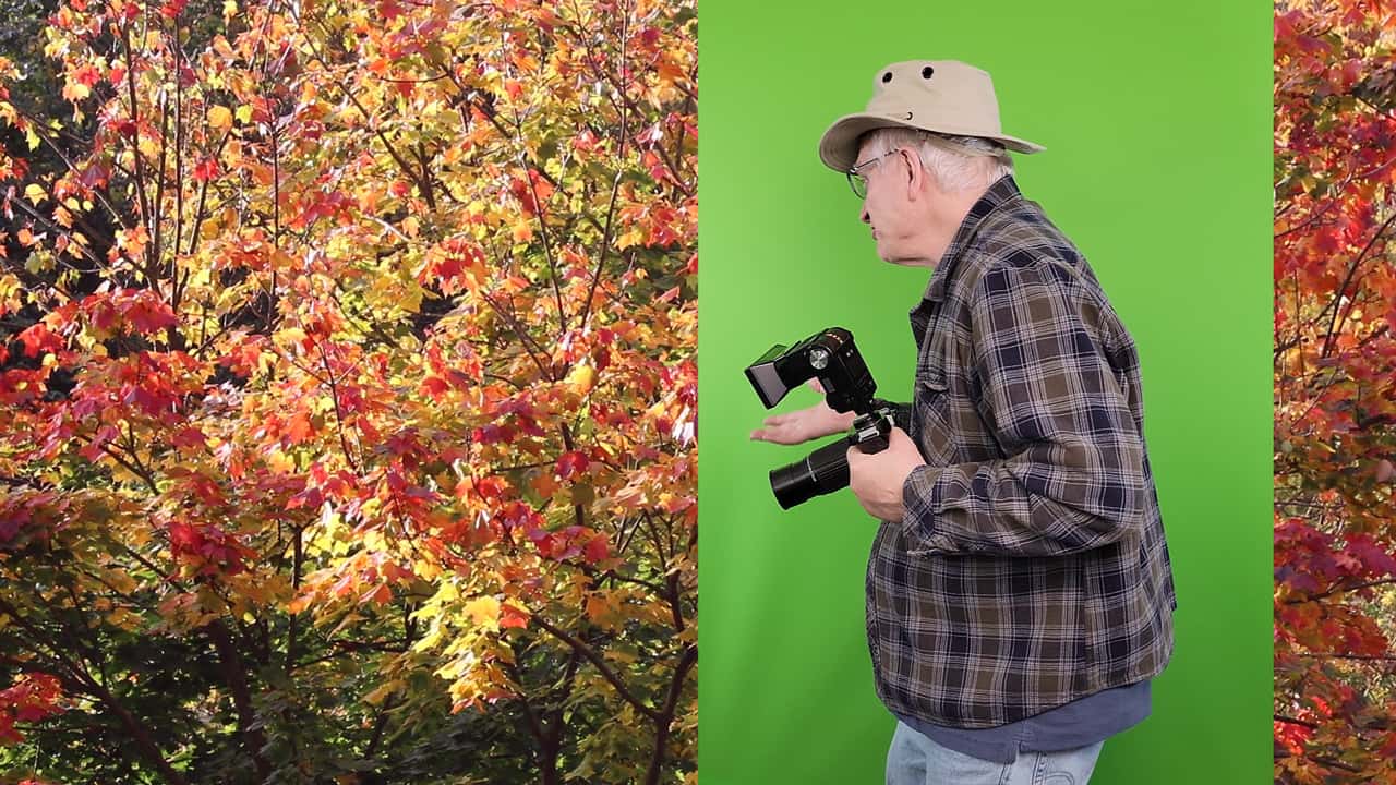 Gary filming in front of a green screen, with the autumn background only partly keyed in